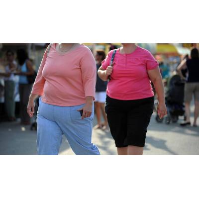 Investigadores descubren que la melatonina activa un mecanismo protector contra la obesidad y diabetes tipo 2