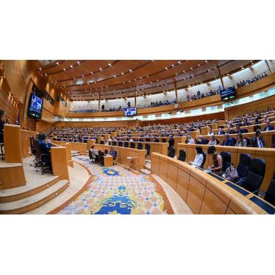 PNV y Junts se desmarcan de la "pseudo moción de censura" planteada por el PP en el Senado