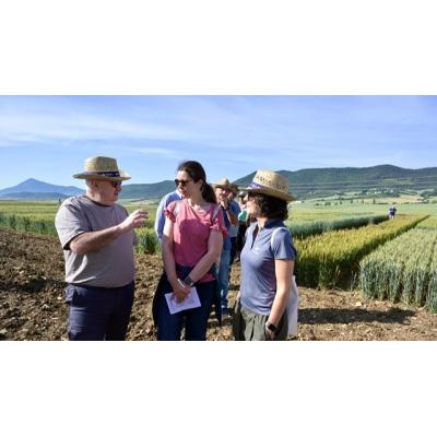 Lección del consejero Aierdi en el campo: cómo cultivar cereal con menos agua, fertilizantes y fitosanitarios