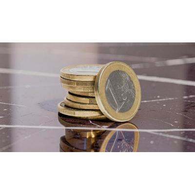Así es la moneda de 1 euro por la que piden 2.000 euros