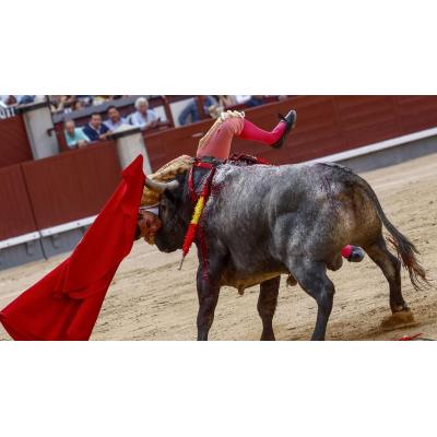 El torero Paco Ureña, herido con pronóstico "grave" tras una cornada en Las Ventas