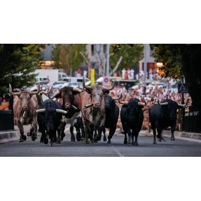 1.400 pases dobles para el Encierrillo de San Fermín 2026: así puedes conseguirlos