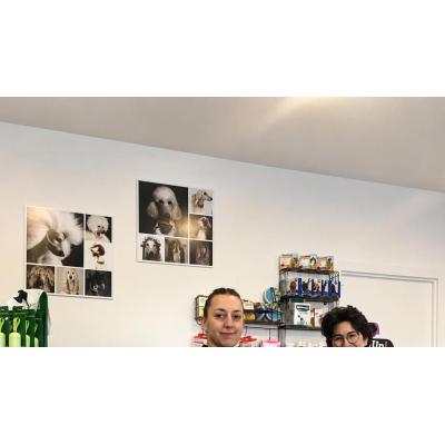 'Más que pelos', el lugar de Pamplona donde a los perros no sólo se les corta el pelo