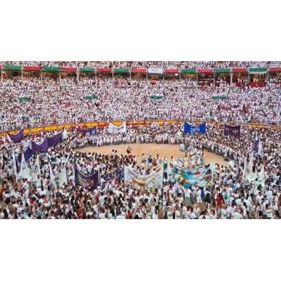 OneToro retransmitirá las corridas del 11 al 14 de julio de la Feria del Toro de Pamplona