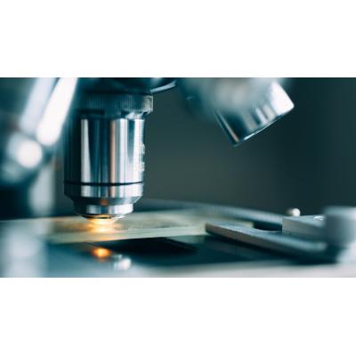 Un compuesto natural obtiene resultados prometedores en ataxia de Friedreich, una enfermedad neurodegenerativa rara