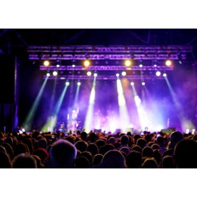 Adjudicados los espectáculos públicos para las Fiestas de Santa Ana 2026