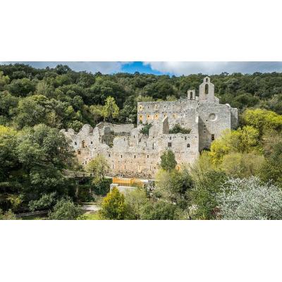 Un jardín botánico entre ruinas medievales: el rincón oculto a una hora de Navarra