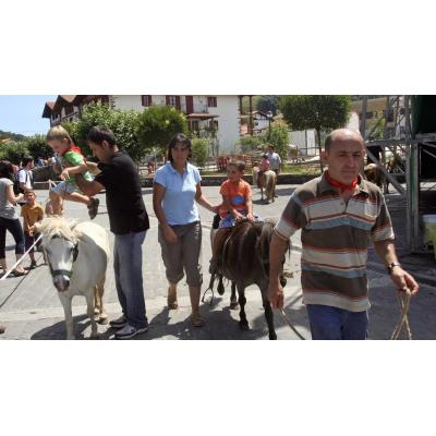 Sakana se suma a un proyecto de revitalización de la Pottoka