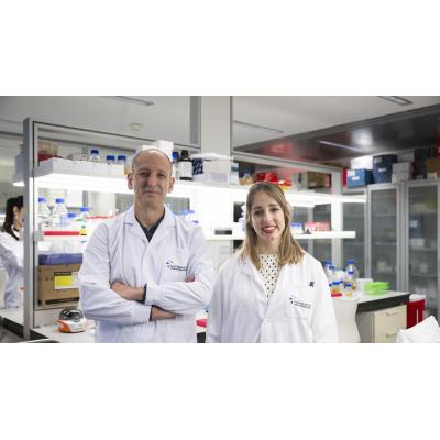 Investigadores navarros buscan un caballo de Troya contra una peligrosa bacteria