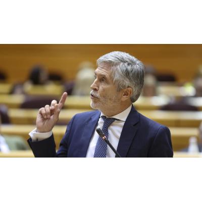 Marlaska defiende la macroperación con 28 detenidos en Pamplona por el acto de Vito Quiles