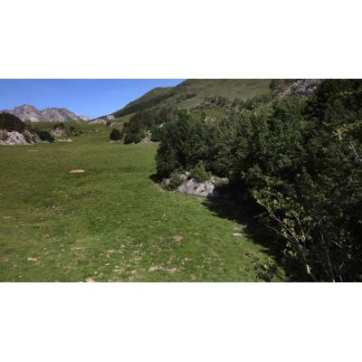 Hallados restos humanos junto a material de montaña en un bosque próximo al refugio de Belagua