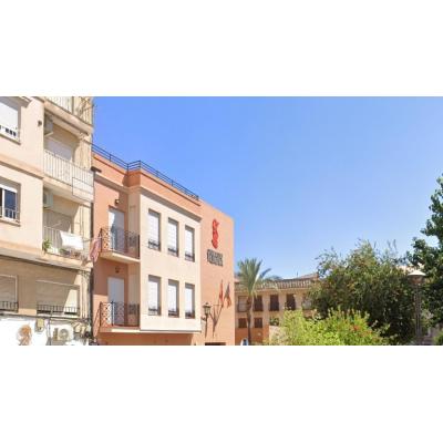 Condenado a 5 años de expulsión de España por matar al gato de su pareja en Torrevieja