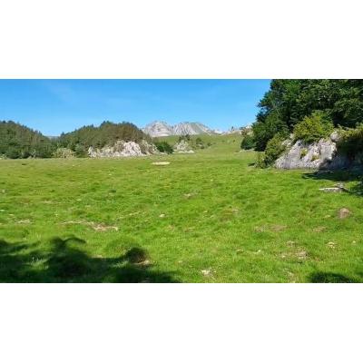 Vídeo del lugar donde han sido hallados restos humanos en un bosque próximo al refugio de Belagua