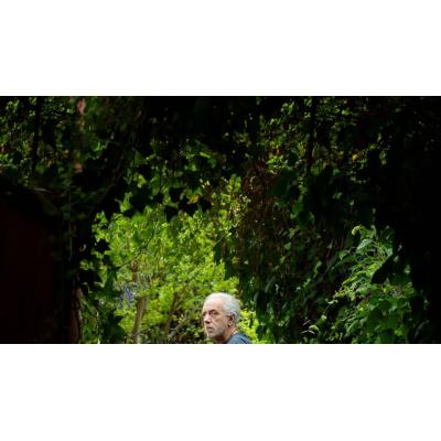 Fernando Trueba: "¿Cómo se puede ser tan imbécil de hacer una guerra?"
