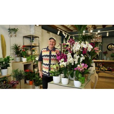 La floristería de Tafalla que busca relevo tras 44 años
