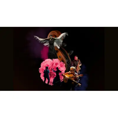 Sarasate Flamenco Sinfónico. Orquesta Sinfonía Navarra